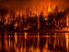 wildfire