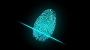 STOCK Fingerprint finger biometrics security