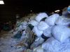 SheeRecycling
