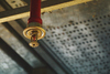 sprinkler