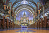Notre Dame cathedral