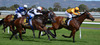horse racing